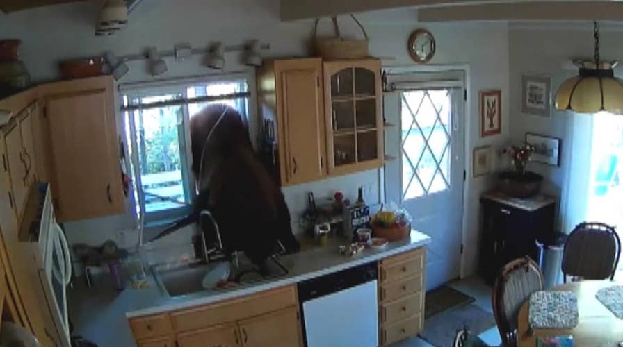 Surveillance video captures bear breaking into Calif. home 