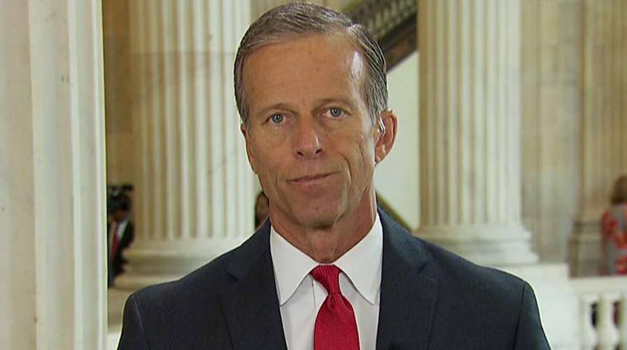 Sen. Thune on what Republicans can pass on immigration