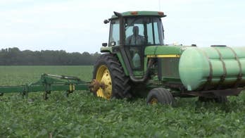 Trump trade war with China puts 300,000 soybean farmers, $14 billion export industry in limbo