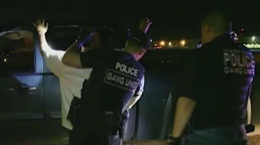 MS-13 infiltrates northern Virginia