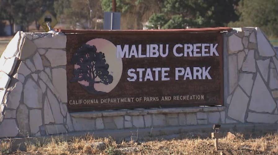 Father shot dead in front of daughters during camping trip