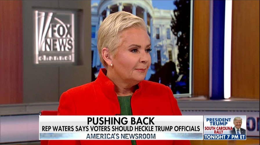 Dem Strategist: 'Hypocritical' for GOP to Call Out Maxine Waters After Trump's Behavior