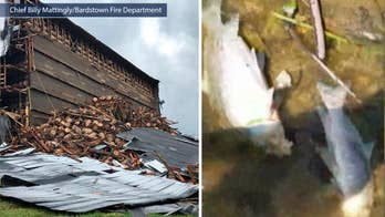 Rest of whiskey storage warehouse collapses in Kentucky