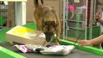 Mind-boggling new tech instantly identifies opioids and drugs hidden in USPS packages