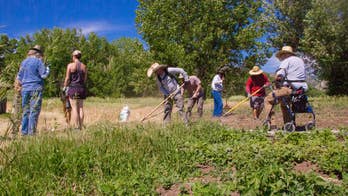 Nonprofit teaches farming to veterans, helps to reintegrate them into civilian life