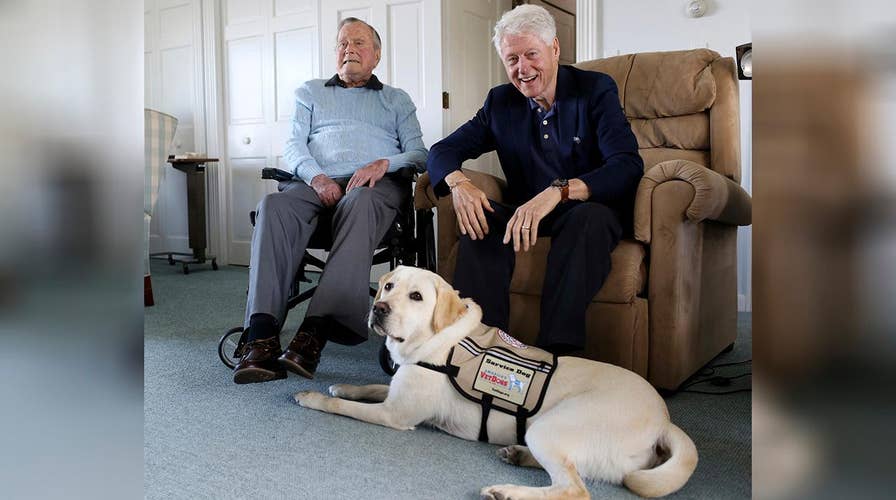 George HW Bush gets a service dog