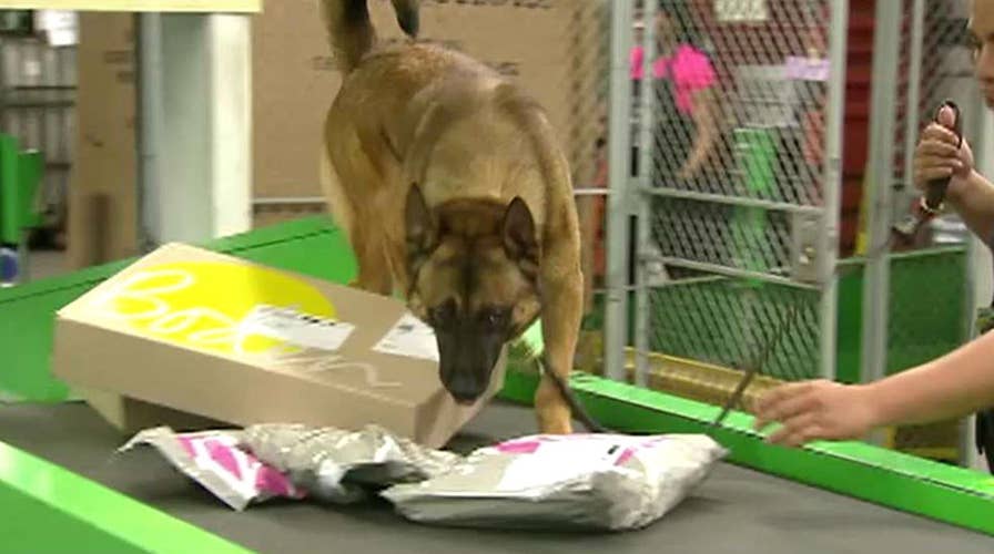 Feds use dogs to sniff out drugs in mail packages