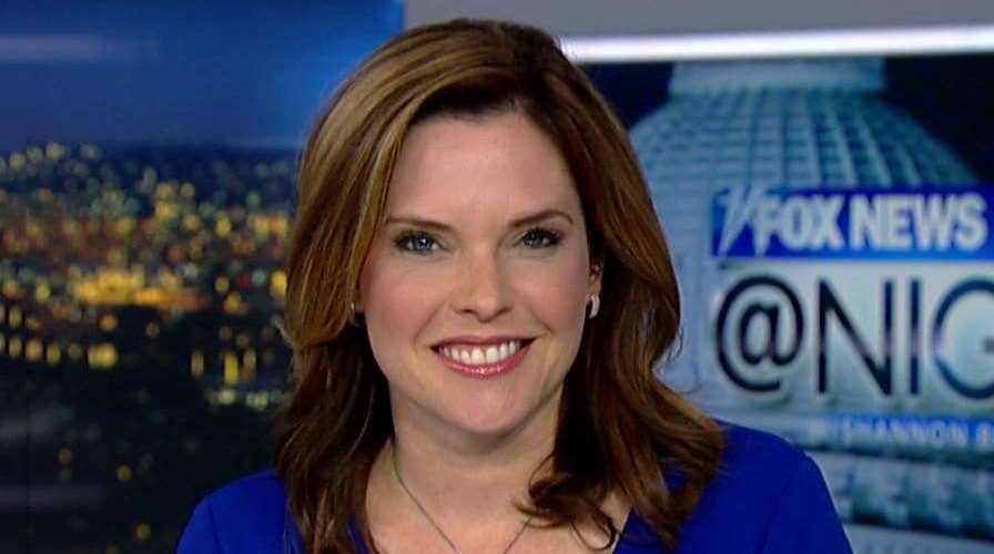 Schlapp: Trump travel ban raises global security standards