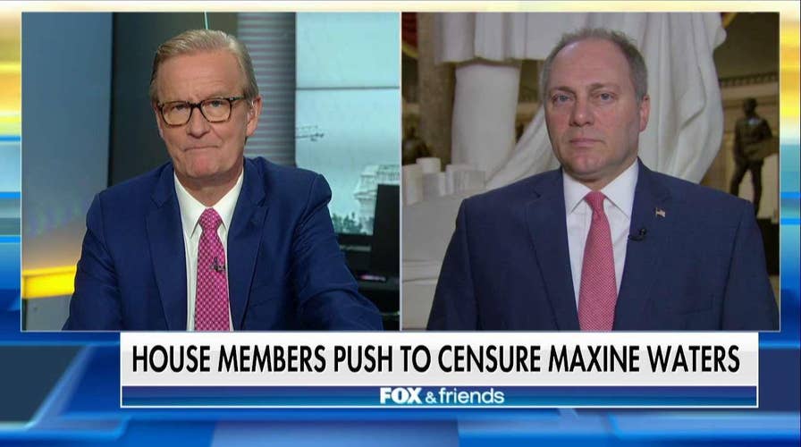 'There's No Place for It': Scalise Says More Dems Should Condemn 'Vitriol' Coming From the Left