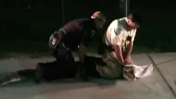Texas police catch 8-foot alligator heading toward Walmart in wild video