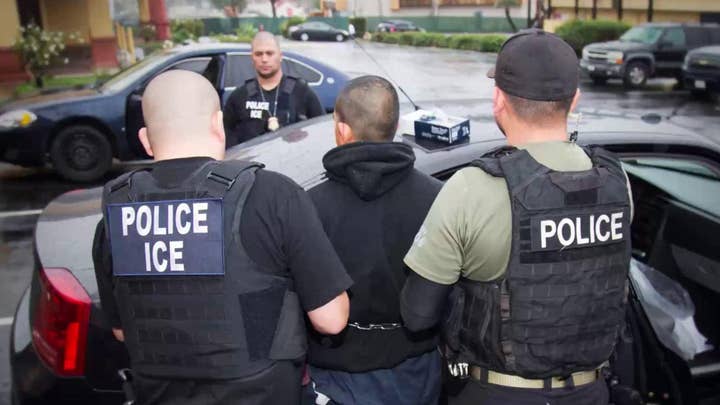 Left-wing Democrats push to abolish ICE