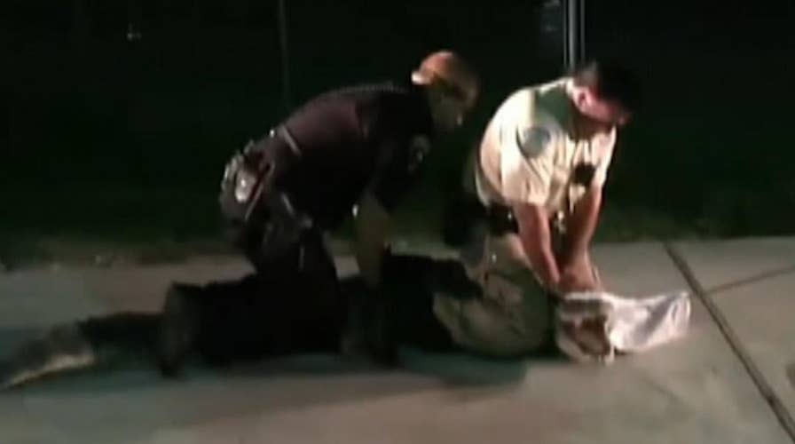 Texas cops wrangle alligator in Walmart parking lot