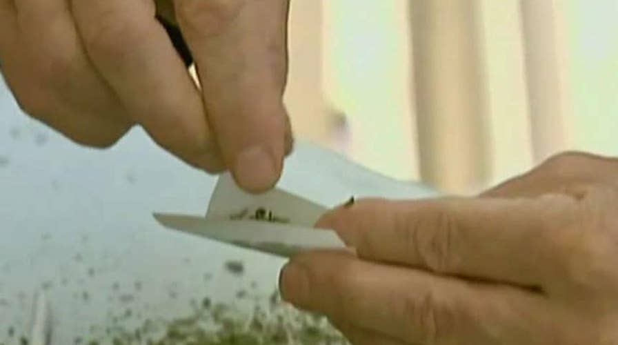 New concerns over marijuana addiction