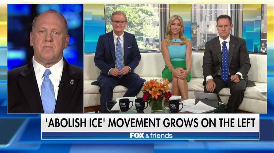 Homan pushes back on the 'Abolish ICE' movement