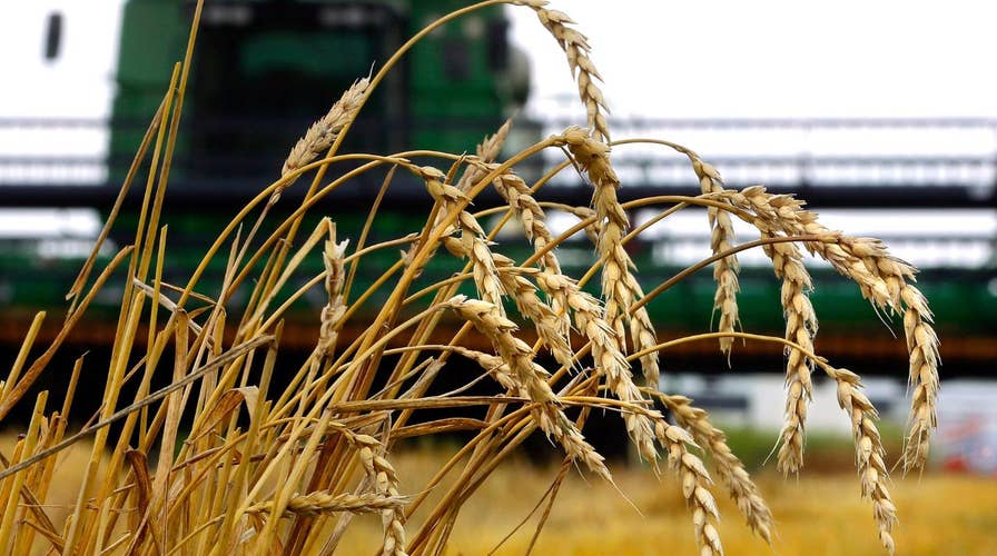 US farmers worry Trump tariffs could hurt business