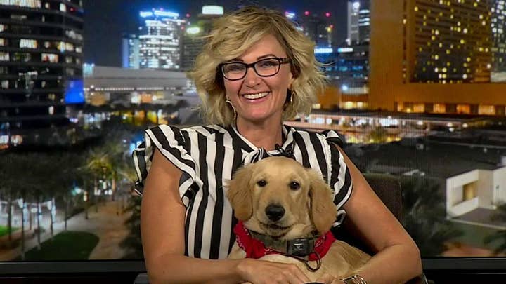 Dog who saved owner from rattlesnake joins 'Fox &amp; Friends'