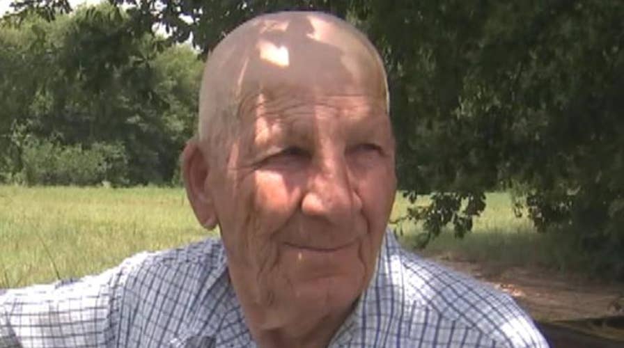 81-year-old man reportedly stung 1,000 times in bee attack