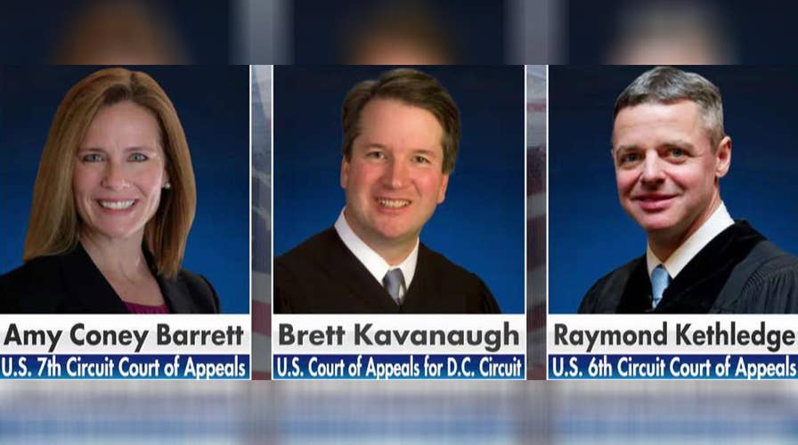 Who will be Trump's Supreme Court pick?