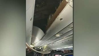 United Airlines ceiling panel falls on passenger when plane lands in Washington