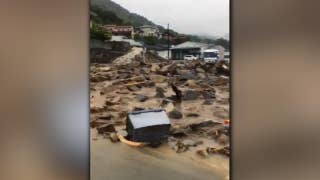 Torrential rain causes deadly landslide in Japan - Fox News