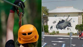 Man and child visiting Gatorland get stuck on zipline above alligator pool