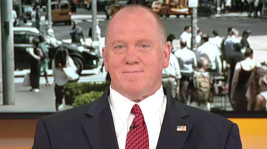 Homan on NATO: Trump is protecting the interests of the US