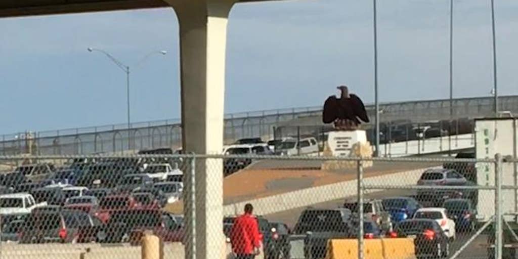 Border agents stopping migrants on international bridges | Fox News Video