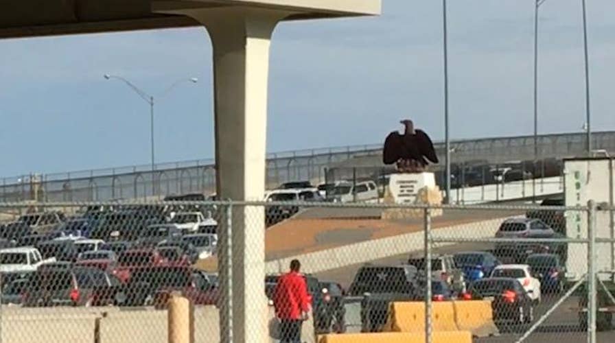 Border agents stopping migrants on international bridges