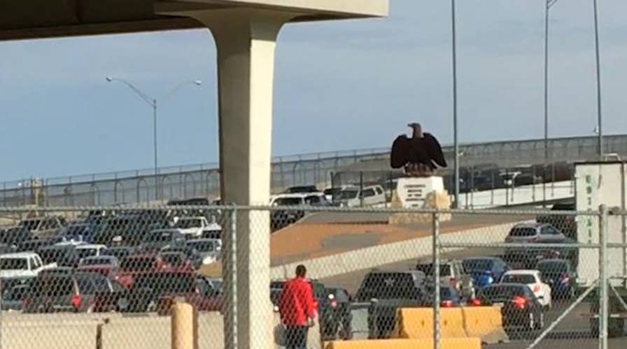 Border agents stopping migrants on international bridges