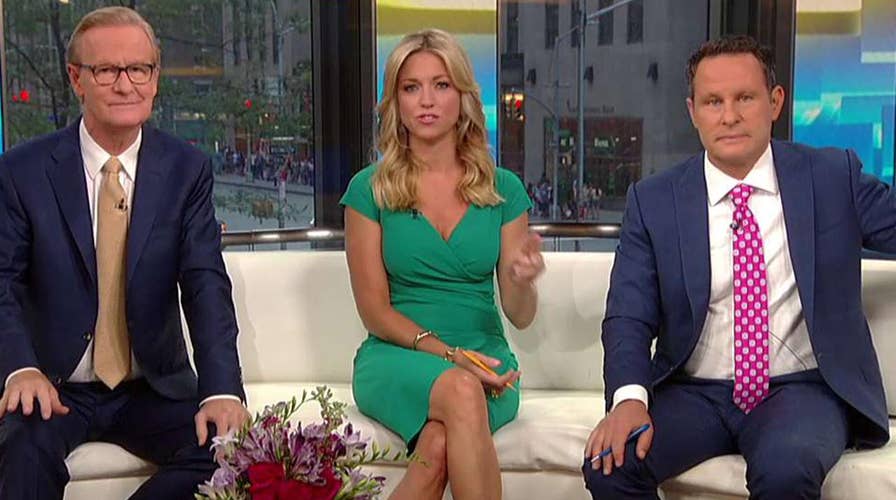 House Democrats laud Strzok during hearing