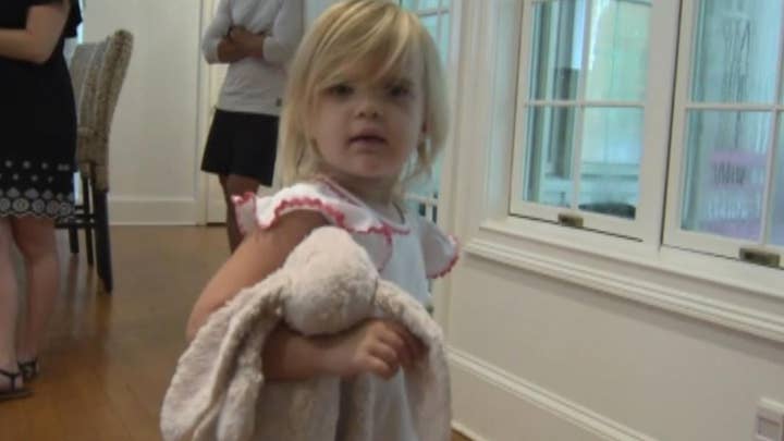 Alabama Publix employees search landfill for stuffed toy