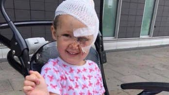 Girl, 4, mauled by dog while playing in yard: 'You just don't ever expect that to happen'