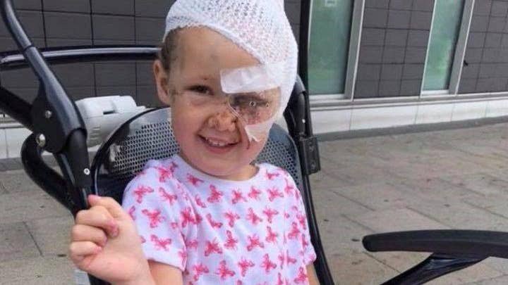 Toddler’s skull almost ‘crushed’ by brutal dog attack