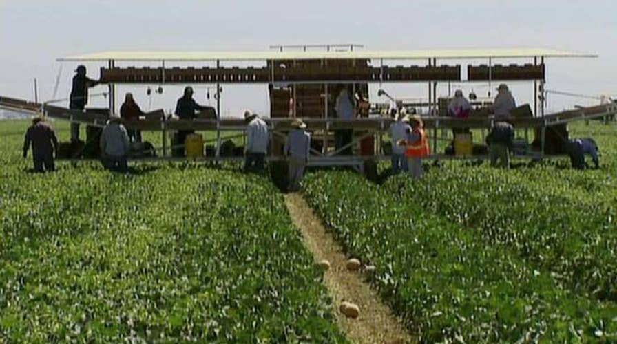 How Trump's trade truce with the EU is impacting US farmers