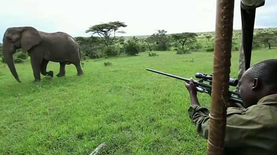 Ex-Delta and SEAL troops hunt for poachers