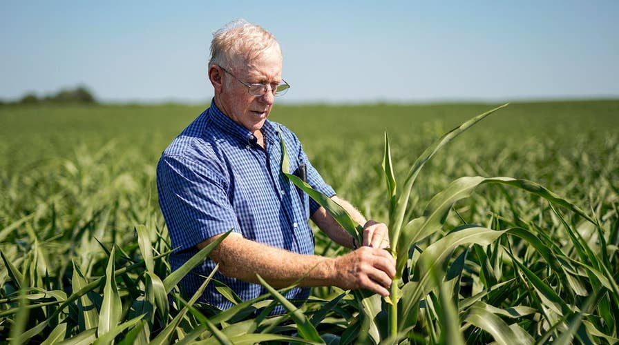 Impact of tariffs on US farmers