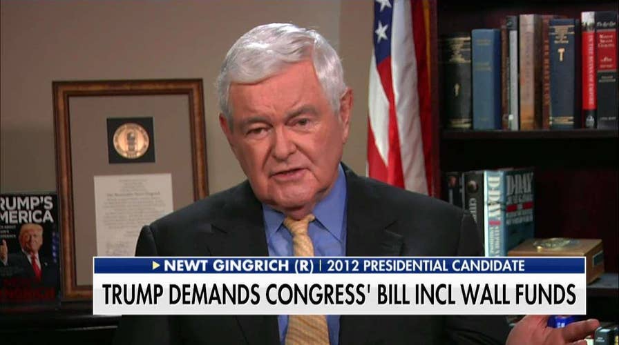 Gingrich on Possible Trump Govt Shutdown