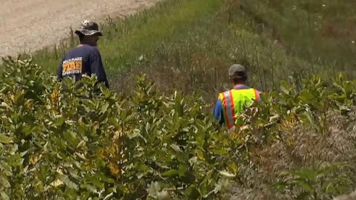 Search team scours land near Iowa farm for Mollie Tibbetts