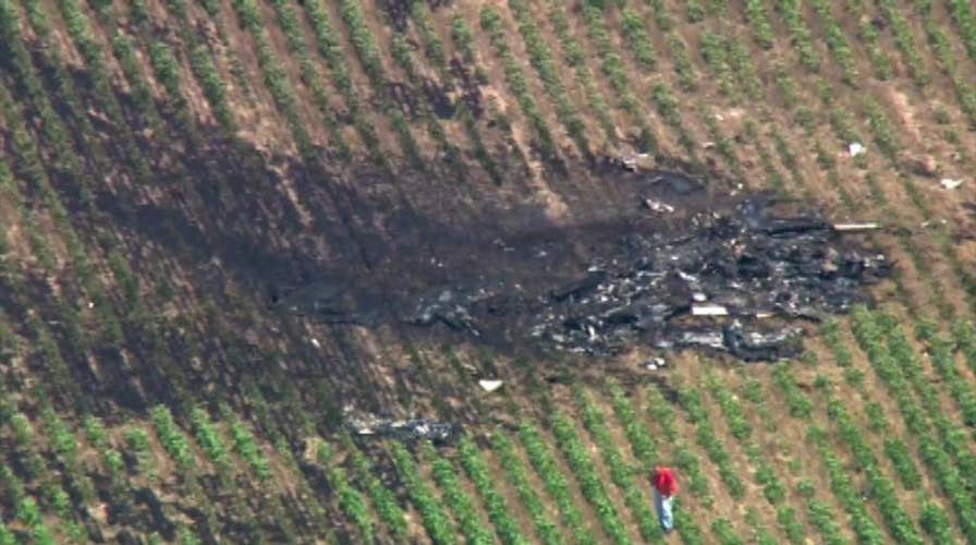 Raw video shows site of small passenger plane crash