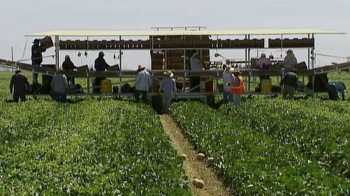 China targets California crops in escalating trade standoff