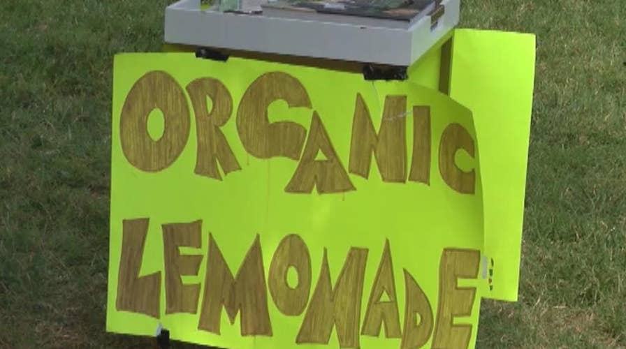 9-year-old robbed at gunpoint at his lemonade stand 