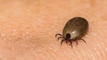 Lyme disease spreads to all 50 states, report finds
