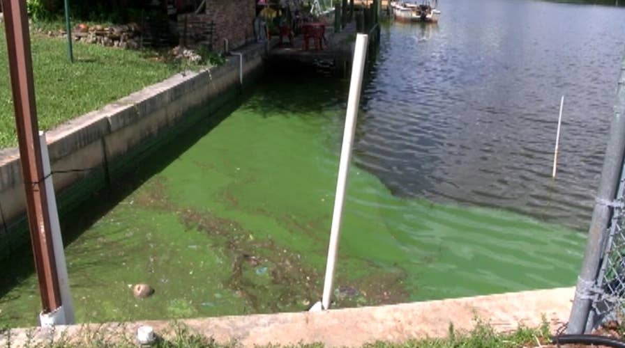 Red tide triggers health warning in Florida