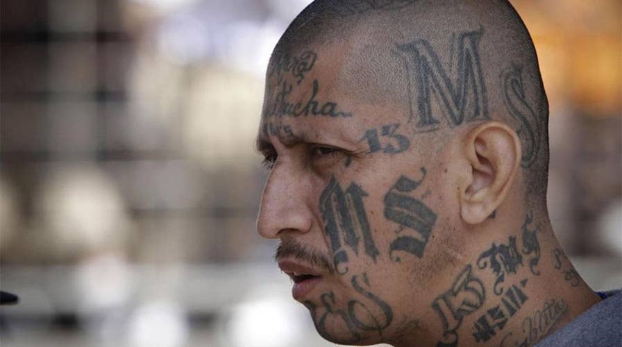 A liberal media PR campaign ... for MS-13