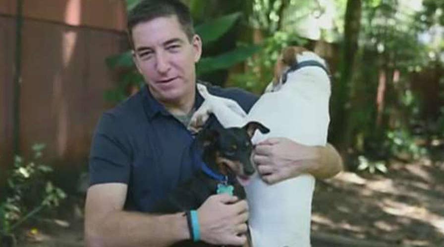 Why Glenn Greenwald is a dog's best friend
