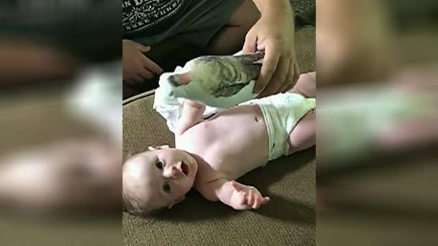 Baby has priceless reaction to doll resembling military dad