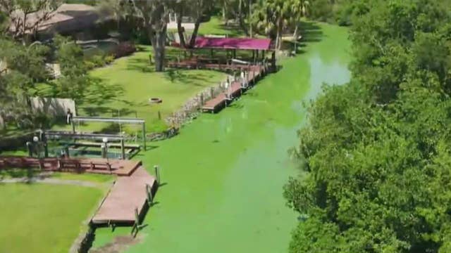 algae-blooms-cause-major-problems-in-florida-on-air-videos-fox-news