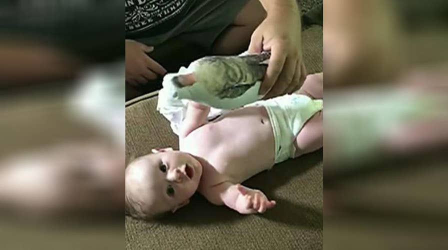 Baby has priceless reaction to doll resembling military dad