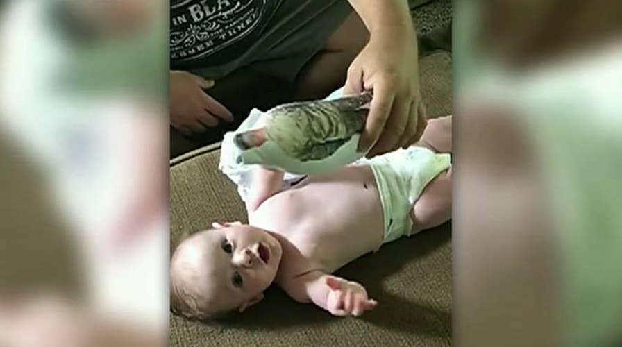 Baby reacts to doll that looks like his deployed father