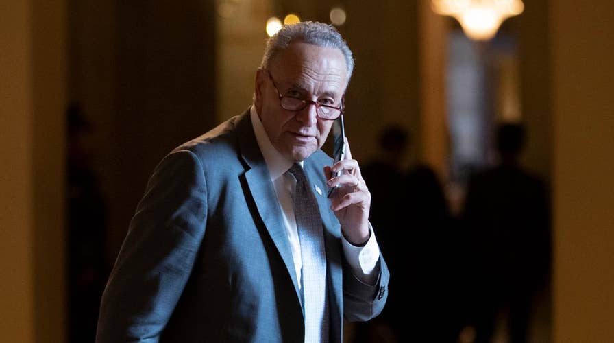 Flashback: Schumer sounded like Trump on immigration in 2009